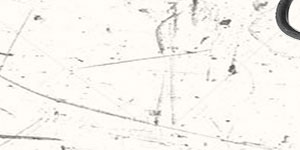 Transp-13